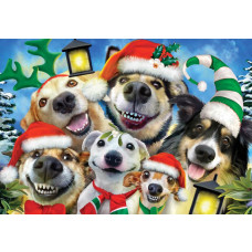 Funny honden en kerstmis, dolle beestenboel fotobehang voor een vrolijke en feestelijke sfeer.