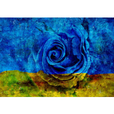 Geschilderde roos in een bloemenmotief op fotobehang, kleurrijk en verfijnd.