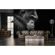 Een fotobehang met een gorilla in de jungle voor de huiskamer.