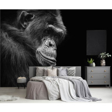 Een fotobehang met een gorilla in de jungle voor de slaapkamer.