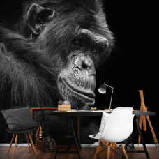 Een fotobehang met een gorilla in de jungle voor de woonkamer.