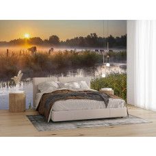 Fotobehang met landelijk natuurlandschap, koeien en ochtendmist in de slaapkamer.
