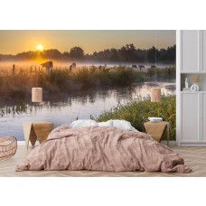 Fotobehang met grazende koeien langs het water tijdens zonsopgang in de slaapkamer.