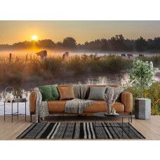 Fotobehang met grazende koeien in een mistig weiland bij zonsopgang in de woonkamer.