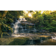 Een gouden waterval omgeven door weelderige jungle, vastgelegd in dit exotische fotobehang.