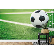 Een fotobehang met een serene grasveldscčne tijdens een voetbalavontuur in een kinderkamer.