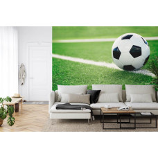 Een fotobehang met een serene grasveldscčne tijdens een voetbalavontuur in een woonkamer.