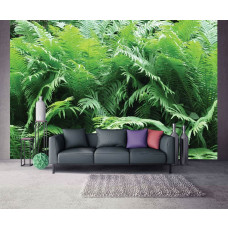 Een fotobehang van groene varens in een jungle-achtige omgeving, ideaal voor een frisse uitstraling.