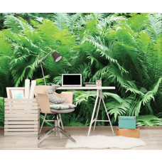 Een fotobehang met groene varens in een jungle setting, passend in een kantooromgeving.
