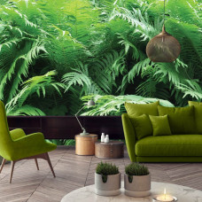 Een fotobehang met groene junglevarens, perfect voor een woonkamer.