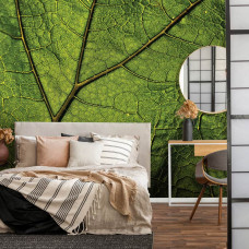 Een fotobehang van een groen blad in natuurlijke omgeving te zien in de slaapkamer.