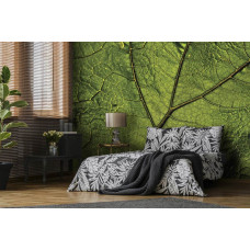 Een fotobehang van een groen blad in natuurlijke omgeving te zien in de woonkamer en slaapkamer.