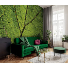 Een fotobehang van een groen blad in natuurlijke omgeving te zien in de woonkamer.