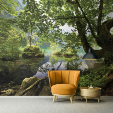 Een fotobehang van een groen bos met een meer en bomen, geschikt voor de huiskamer.