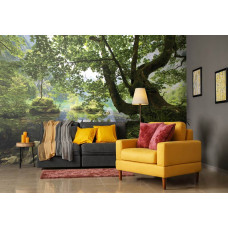 Een fotobehang met een groen landschap van bomen en een meer in een woonkamer setting.