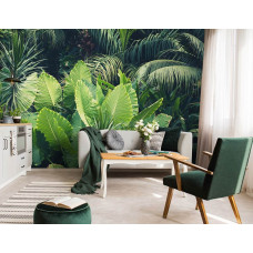 Een fotobehang met groene bladeren in een weelderige jungle, ideaal voor een woonkamer.