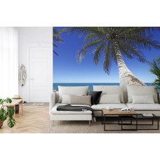 Een fotobehang met een majestueuze palmboom aan de rand van een strand in een huiskamer.