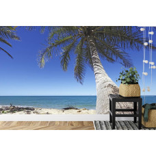 Een fotobehang met een grote palmboom aan een tropisch strand, ideaal voor een keuken.