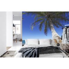 Een fotobehang met een exotische strandscčne met een grote palmboom, perfect voor een slaapkamer.