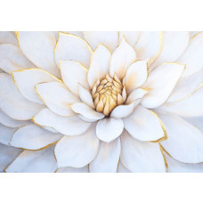 Fotobehang met een grote witte bloem en luxe gouden details.