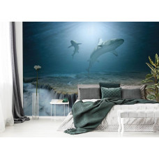 Een fotobehang met haaien en een waterval in een zee-omgeving, ideaal voor een slaapkamer.