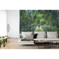 Een fotobehang met een hangbrug in een regenwoud, afgebeeld in een huiskamer.