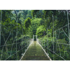 Fotobehang van een hangbrug die door een dichte jungle en regenwoud slingert, omgeven door weelderige natuur.