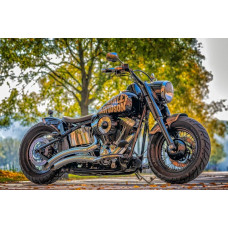 Fotobehang van een Harley Davidson motor, krachtig en stijlvol.