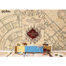 Een fotobehang met Harry Potter Marauder’s Map - Sluipwegwijzer in de speelkamer, waarbij de mysterieuze lijnen en verborgen paden een speelse en fantasierijke uitstraling geven.