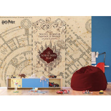 Een fotobehang met Harry Potter Marauder’s Map - Sluipwegwijzer in de jongenskamer, waarin de klassieke uitstraling van de kaart en de verborgen geheimen zorgen voor een stoer en magisch effect.