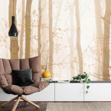 Een fotobehang met een serene bosomgeving in de herfstmist, passend bij een huiskamer.