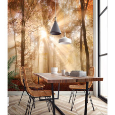 Een fotobehang van een herfstbos met zonnestralen door de bomen in de keuken.