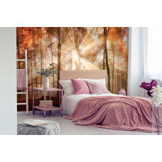 Een fotobehang van een herfstbos met zonnestralen door de bomen in de slaapkamer.
