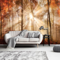 Een fotobehang van een herfstbos met zonnestralen door de bomen in de woonkamer.