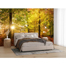 Fotobehang herfstbos met zonnestralen in een slaapkamer met warme herfstkleuren en diepe schaduwen.