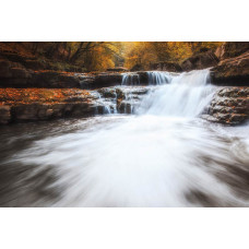 Fotobehang van een herfstig boslandschap, waar een waterval door de kleurrijke bomen stroomt.