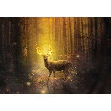 Fotobehang van een hert in de brandende zon, bos en sprookjesachtige sfeer.