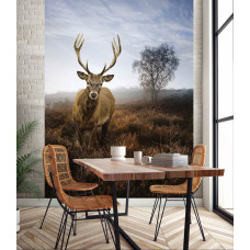 Een fotobehang van een hert in een mistig natuurlandschap in de weide te zien in de keuken.