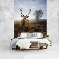 Een fotobehang van een hert in een mistig natuurlandschap in de weide te zien in de slaapkamer.