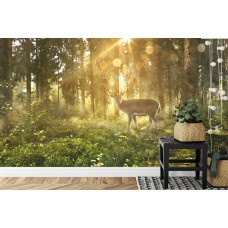Een fotobehang met een hert in een bos in een kantoor.