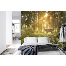 Een fotobehang met een hert in een zonnig bos afgebeeld in een slaapkamer.