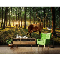 Een fotobehang van een hert in een zonnig bos met bomen en natuur te zien in de woonkamer.