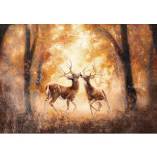 Fotobehang van herten in het bos, met een natuurlijke en serene sfeer.