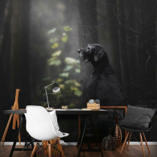 Een fotobehang van een hond in het bos met bomen te zien in een kantoor.