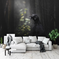 Een fotobehang van een hond in het bos met bomen te zien in de woonkamer.