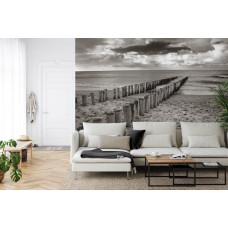 Een fotobehang met houten paaltjes die een lijn vormen op een verlaten strand in zwart-wit.