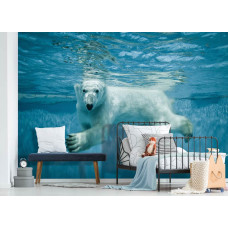 Een fotobehang van een ijsbeer onder water voor de kinderkamer.
