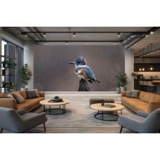 Fotobehang ijsvogel in de regen in een modern kantoor met een ontspannen bedrijfsruimte.