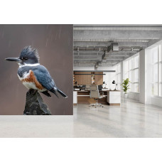 Fotobehang met een ijsvogel tijdens een regenbui in een inspirerend kantoor.
