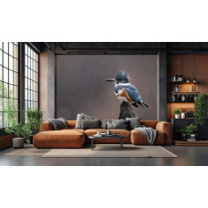 Fotobehang ijsvogel in de regen in een moderne woonkamer met rustige natuurtinten.
